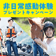 非日常感動体験プレゼント【アンケート応募】