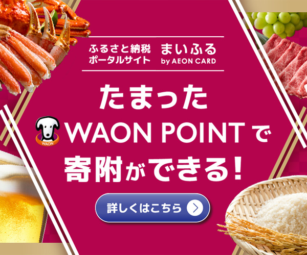 イオンカードのふるさと納税
